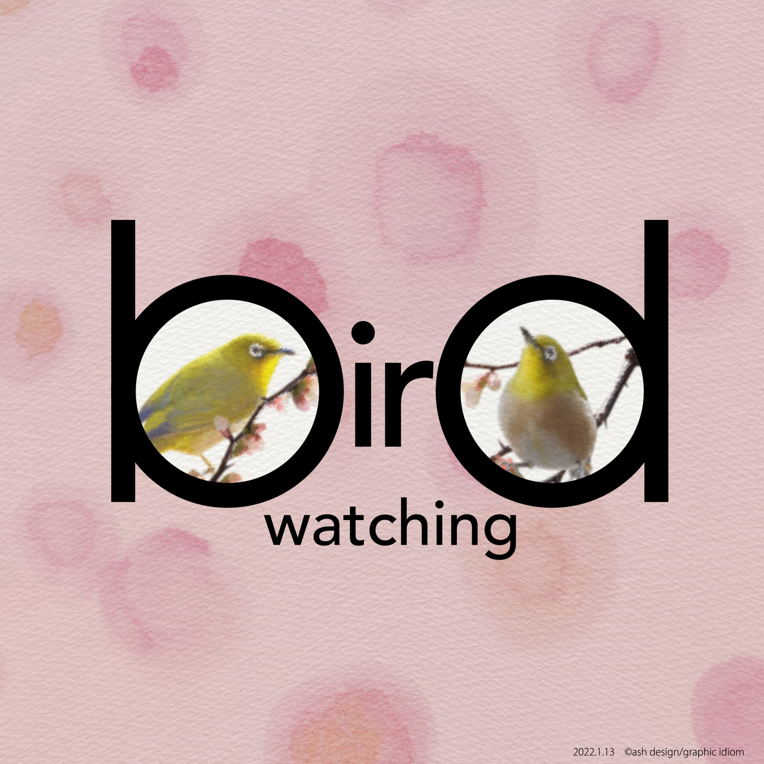 bird watching